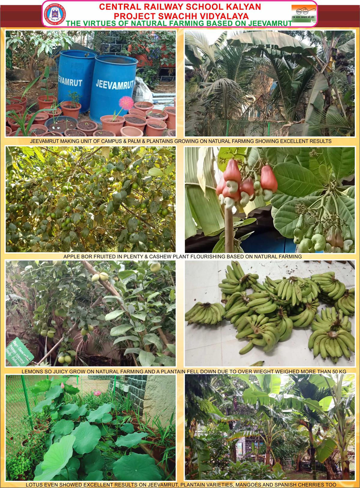 biodiversities