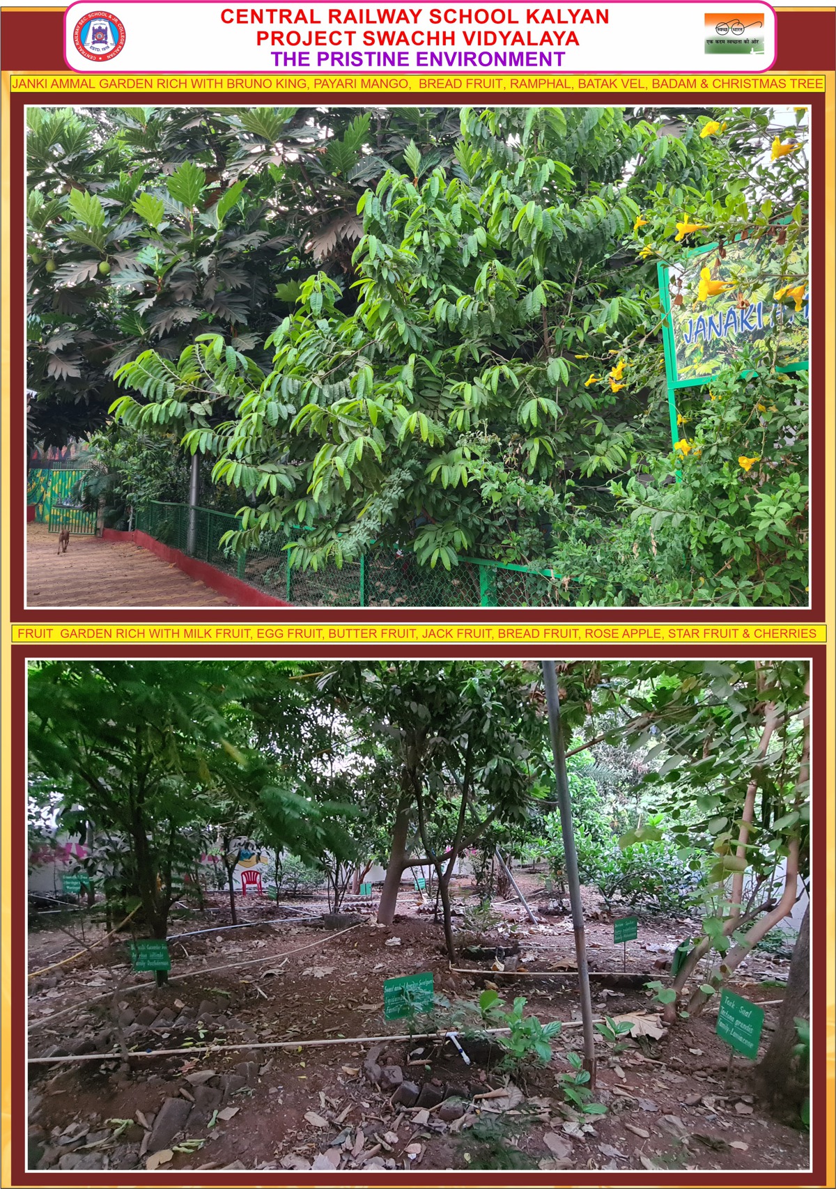swachhvidyalaya