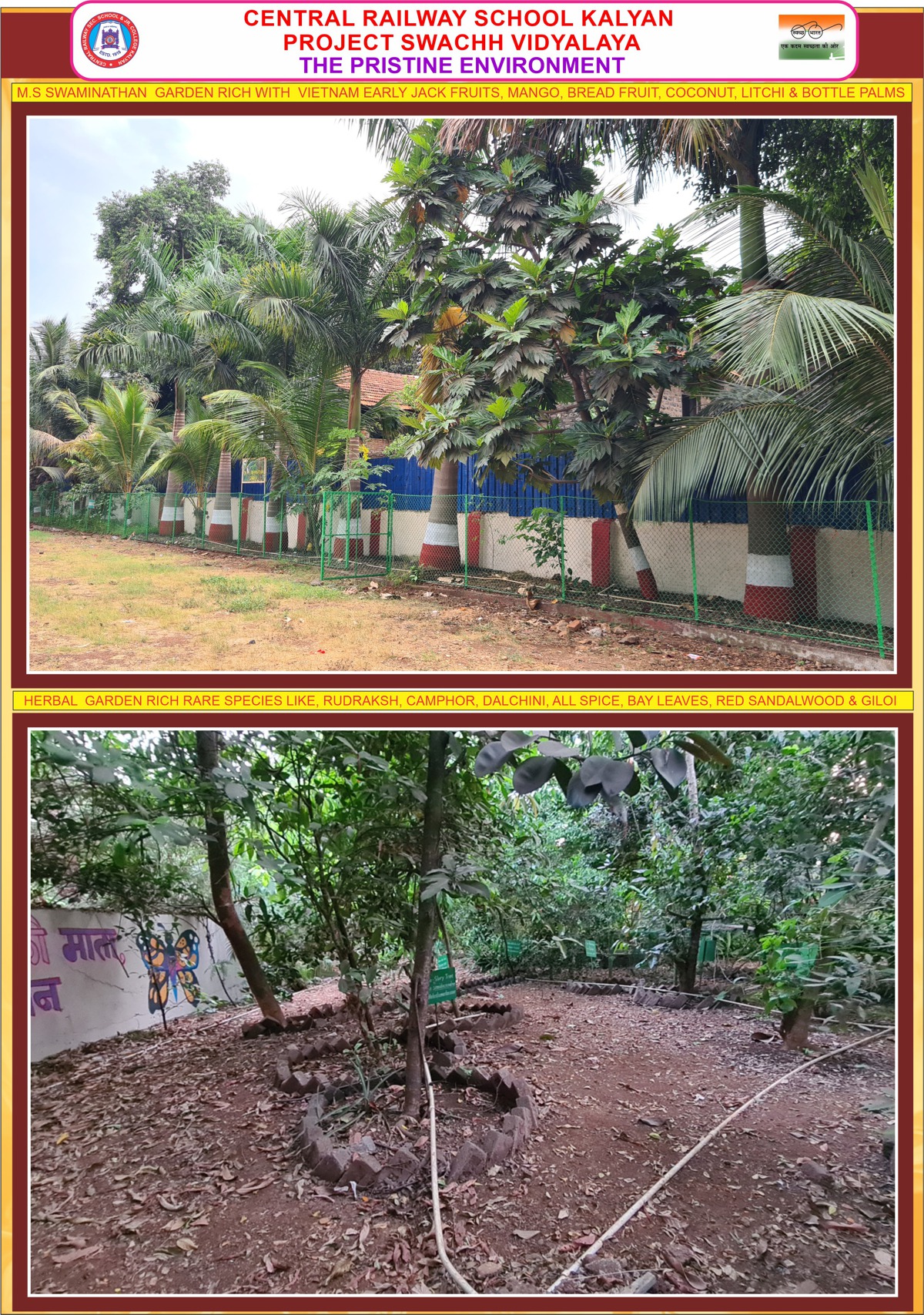 swachhvidyalaya