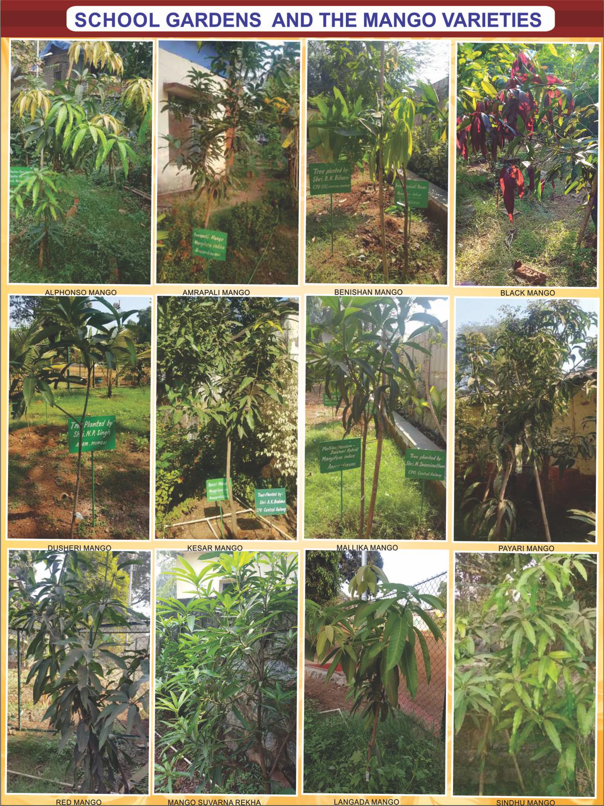swachhvidyalaya