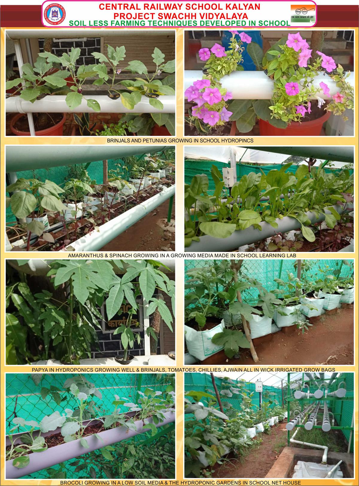 biodiversities